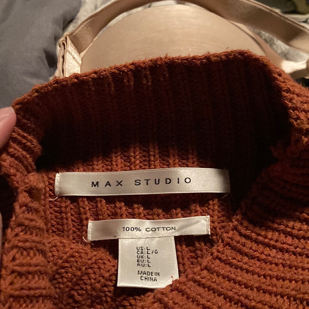 Size: Large sweater. Brand: Max Studio.